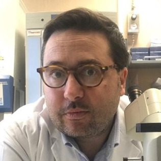 Prof. Dr. Nicola Amodio