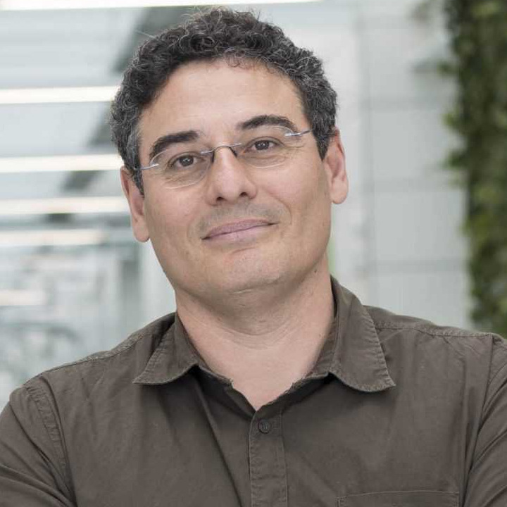 Prof. Dr. Francisco A. Nieto Escámez