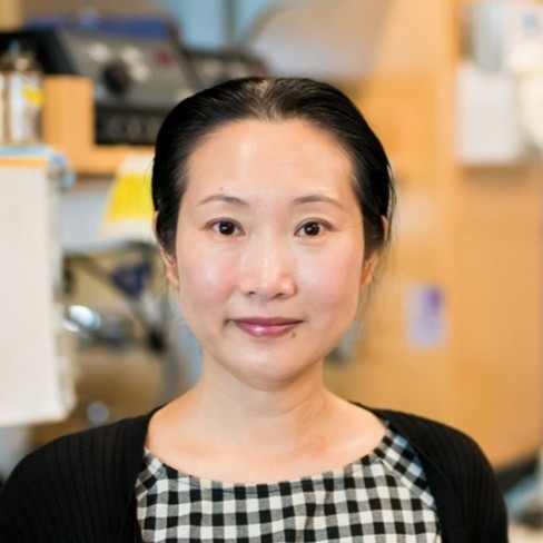 Dr. Hongmei Mou