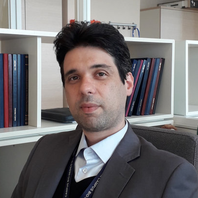 Dr. Vincenzo Piemonte