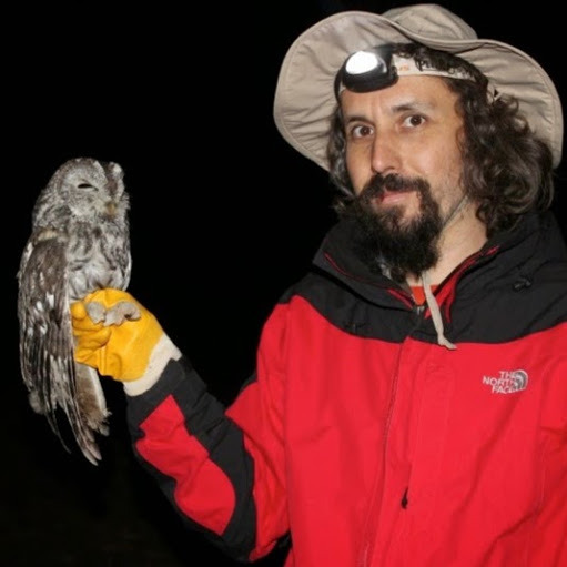 Prof. Dr. Tamer Albayrak