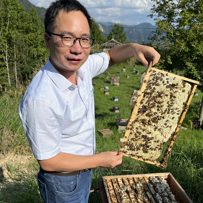 Prof. Dr. Huoqing Zheng