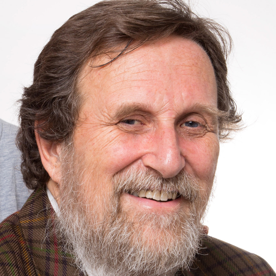 Prof. Pierluigi Zoccolotti