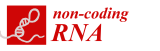 Non-Coding RNA