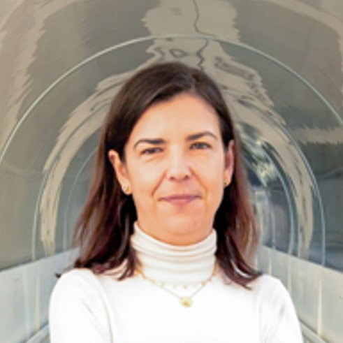 Prof. Ana Rita Cabrita