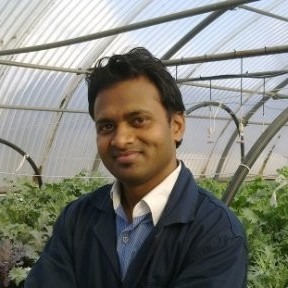 Dr. Pradeep Kumar