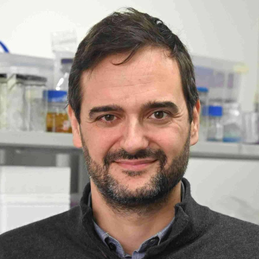 Dr. Nuno Filipe Azevedo