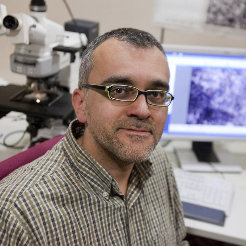 Dr. Josep Trigo Rodriguez