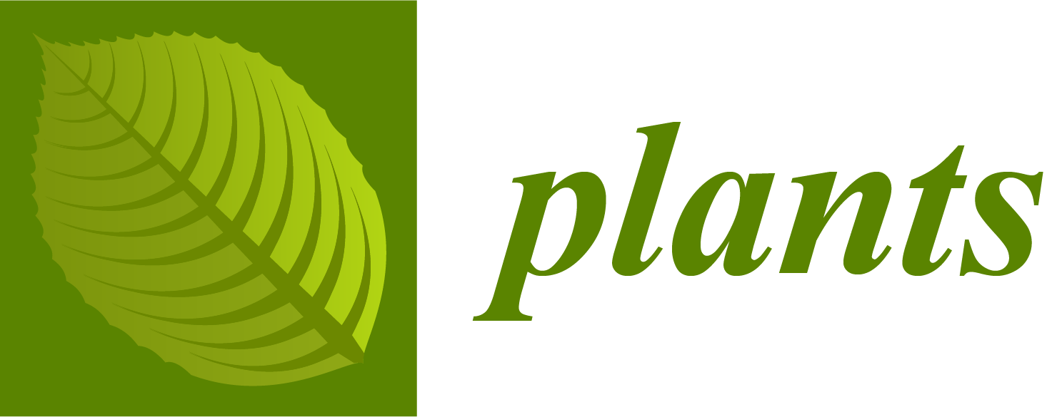 Plants