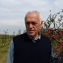 Prof. Dr. Daniele Bassi