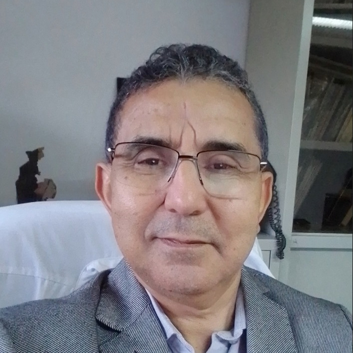Prof. Mohamed Hafidi
