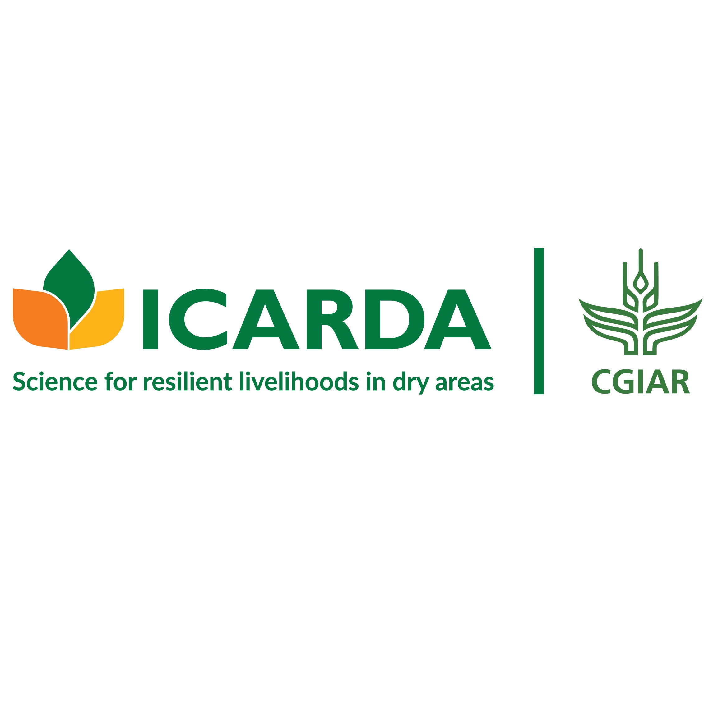 organizer logo