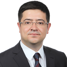 Prof. Dr. Afsin Sahin