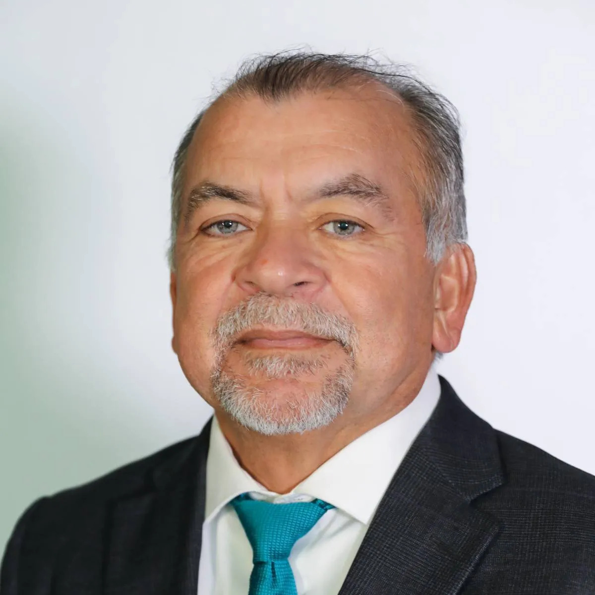 Prof. Dr. Hector O. Zapata