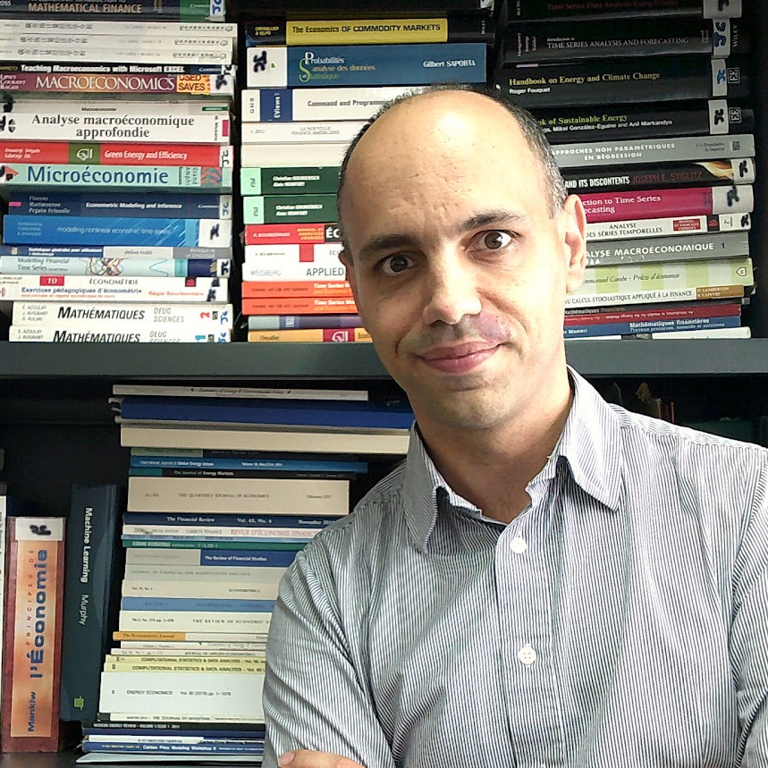 Prof. Dr. Julien Chevallier