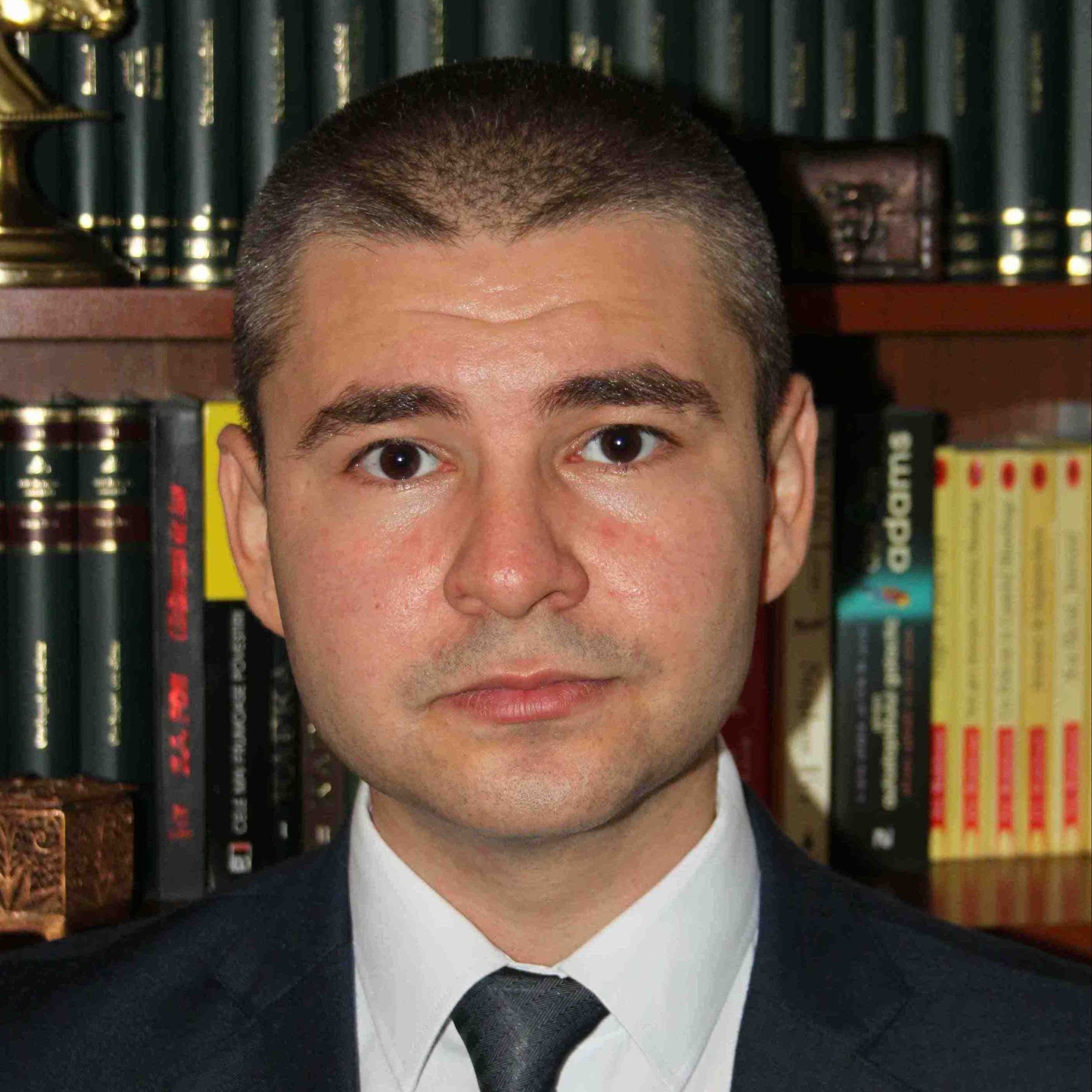 Prof. Dr. Adrian Cantemir Calin