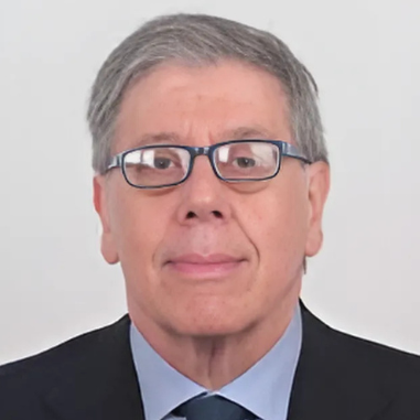 Prof. Enrico Mini