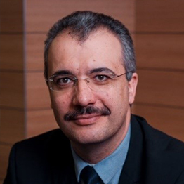 Prof. Dr. Ovidiu Folcut