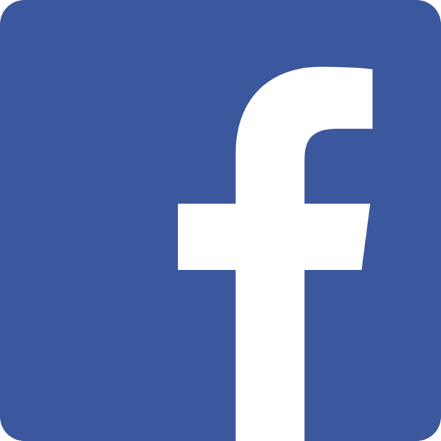 Facebook Biomimetics