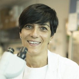 Dr. Paola Cappello