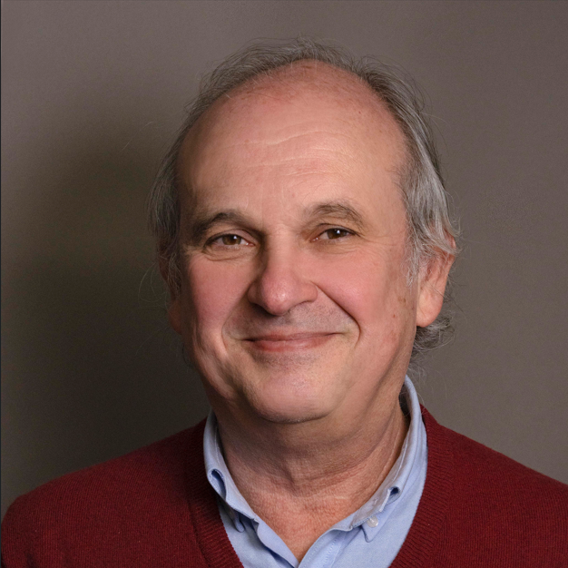 Prof. Dr. Manuel Malfeito-Ferreira