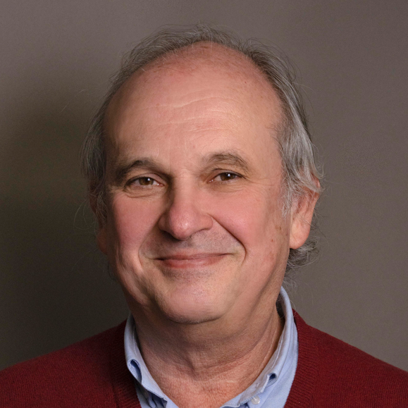 Prof. Dr. Manuel Malfeito-Ferreira