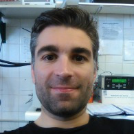 Dr. Rui P. P. L. Ribeiro