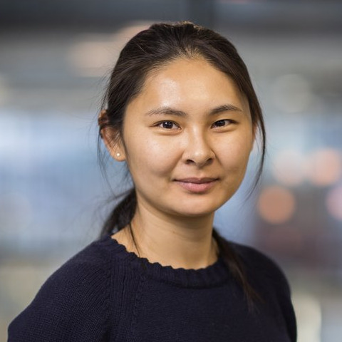 Prof. Dr. Danqing Liu