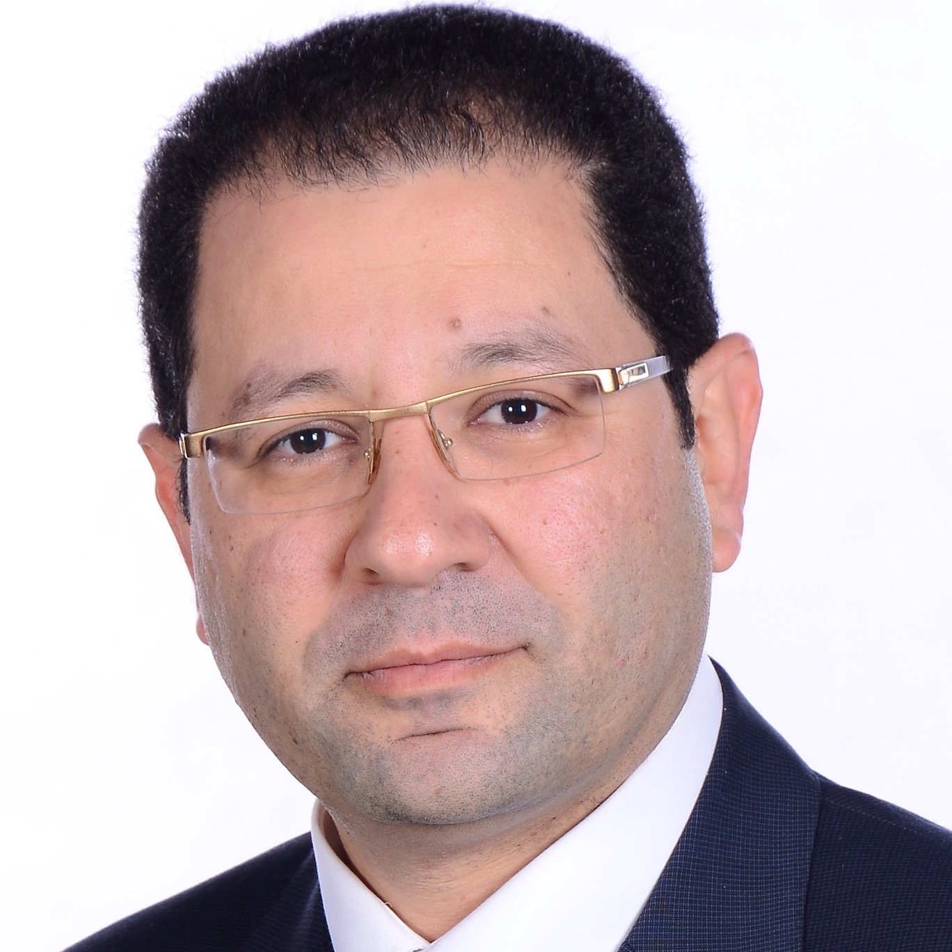 Prof. Dr. Mohamed Salheen