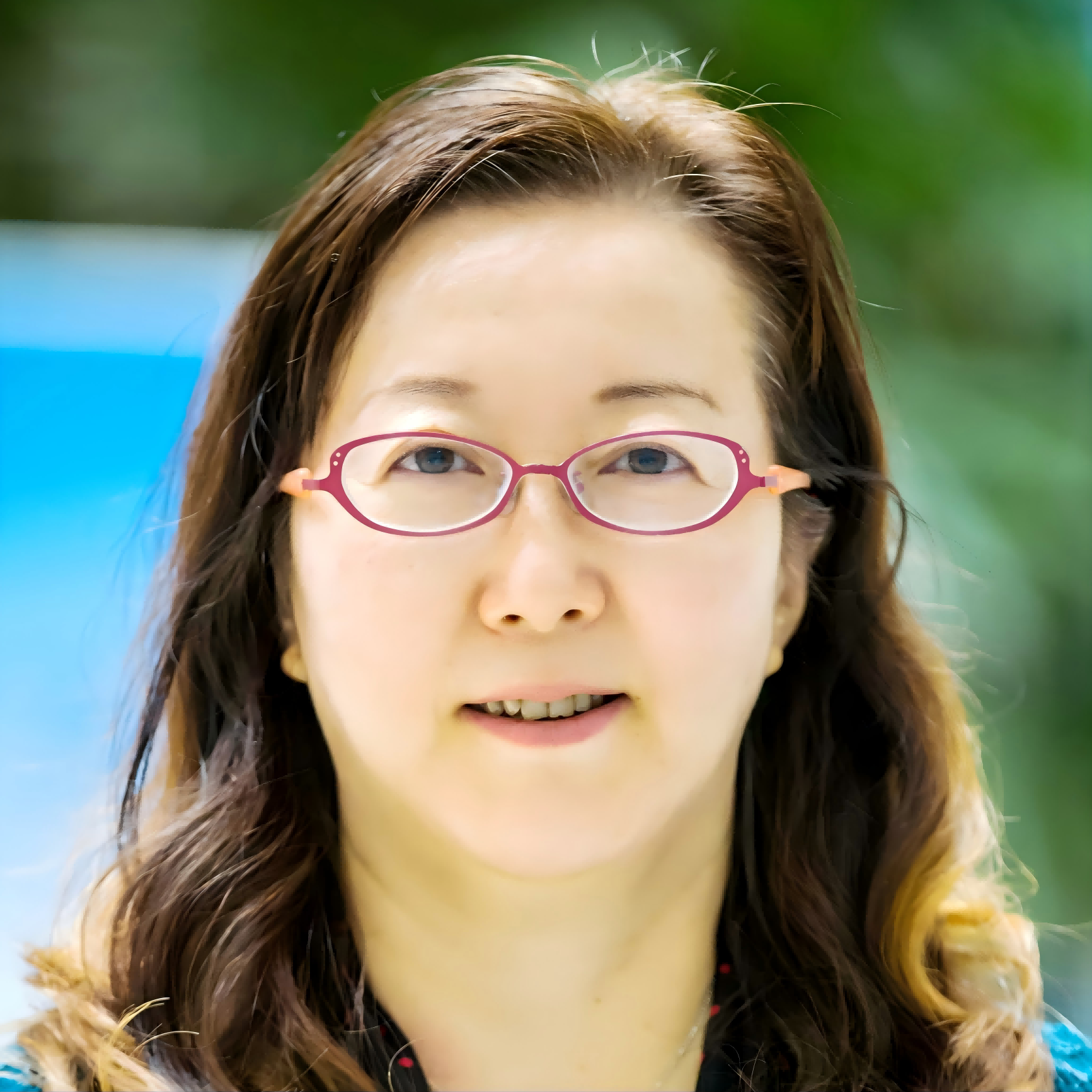 Prof. Dr. Hong Liu
