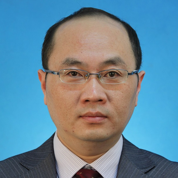 Prof. Dr. Wen Liu