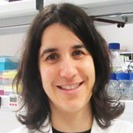 Prof. Dr. Ana Grenha