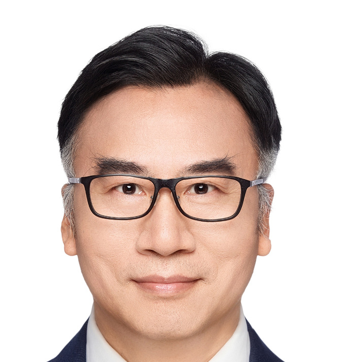 Prof. Dr. Wanping Chen