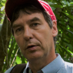 Dr. Yves Basset