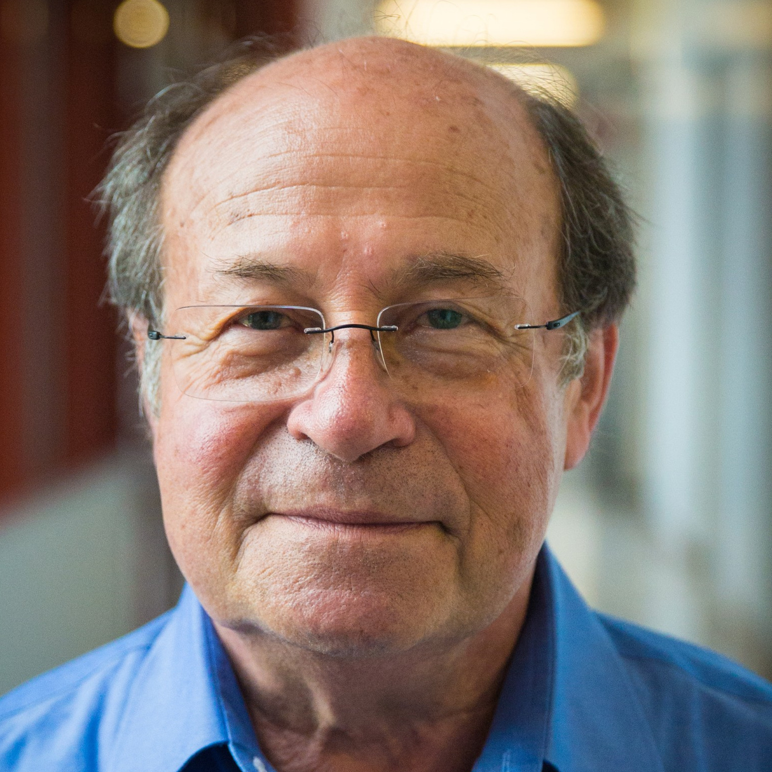 Prof. Dr. Yeshaiahu (Shaya) Fainman