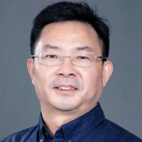 Prof. Dr. Wei Wu