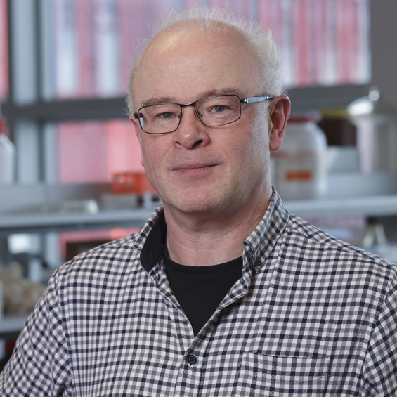 Dr. Darren Fayne