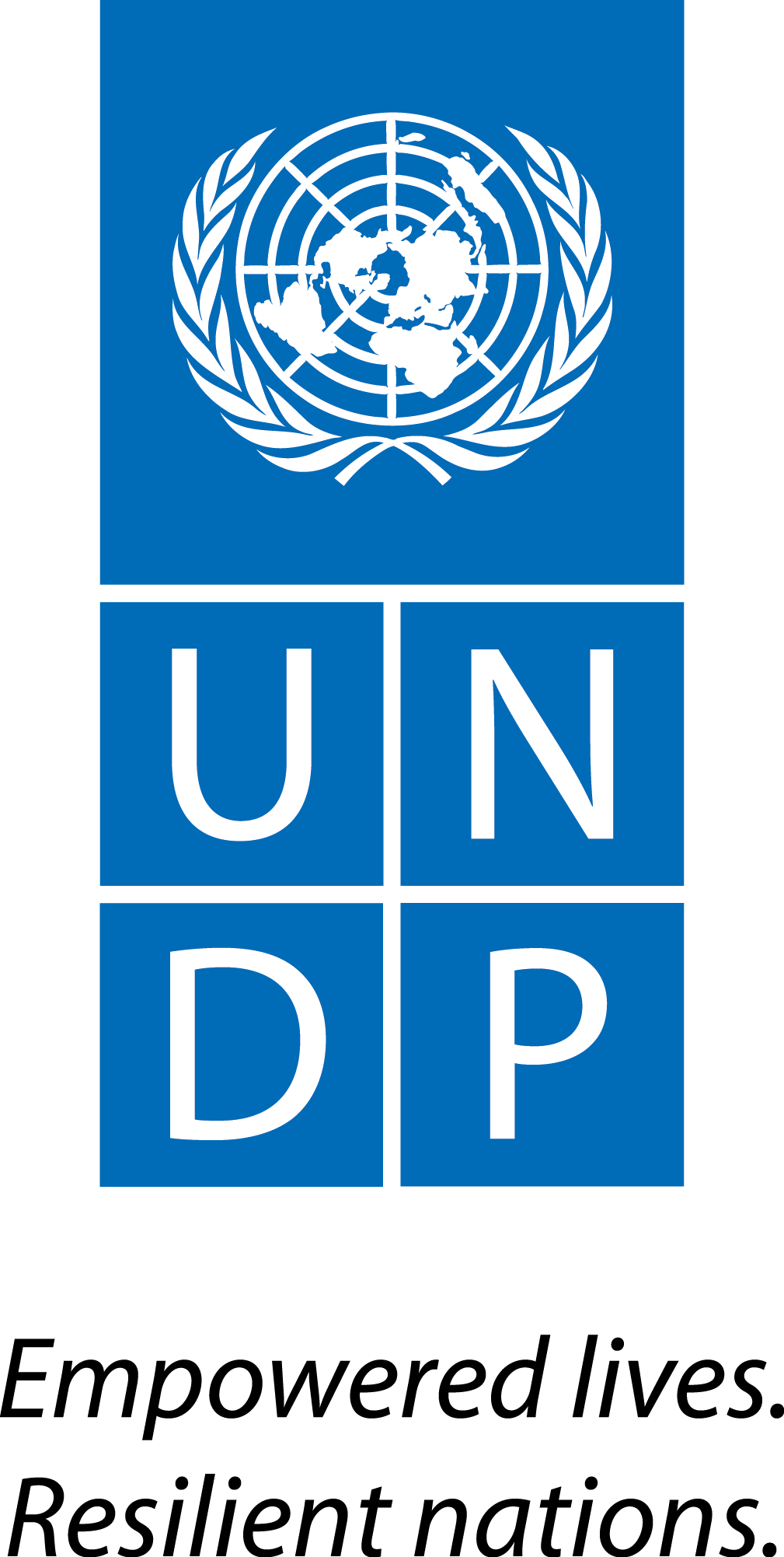 United Nations  Development Programme (UNDP)