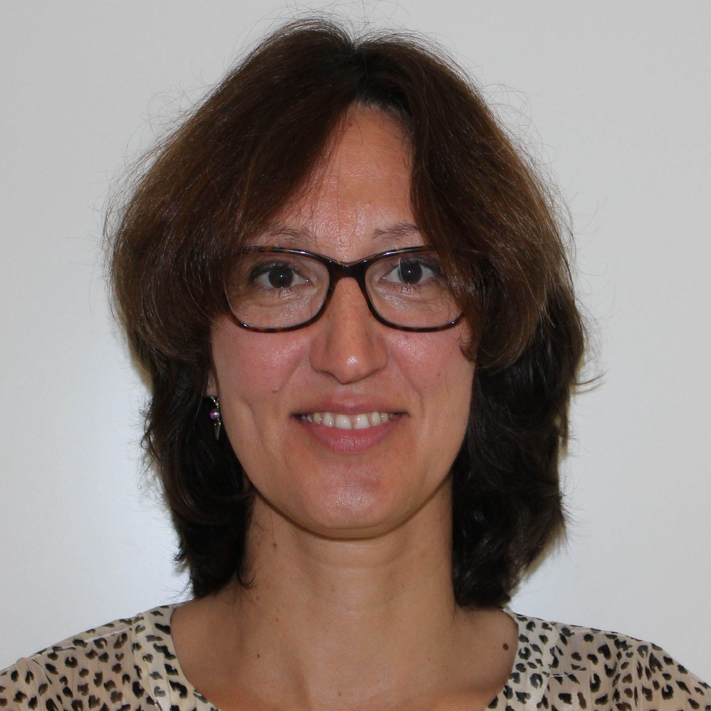 Prof. María Ángeles Lillo-Ródenas