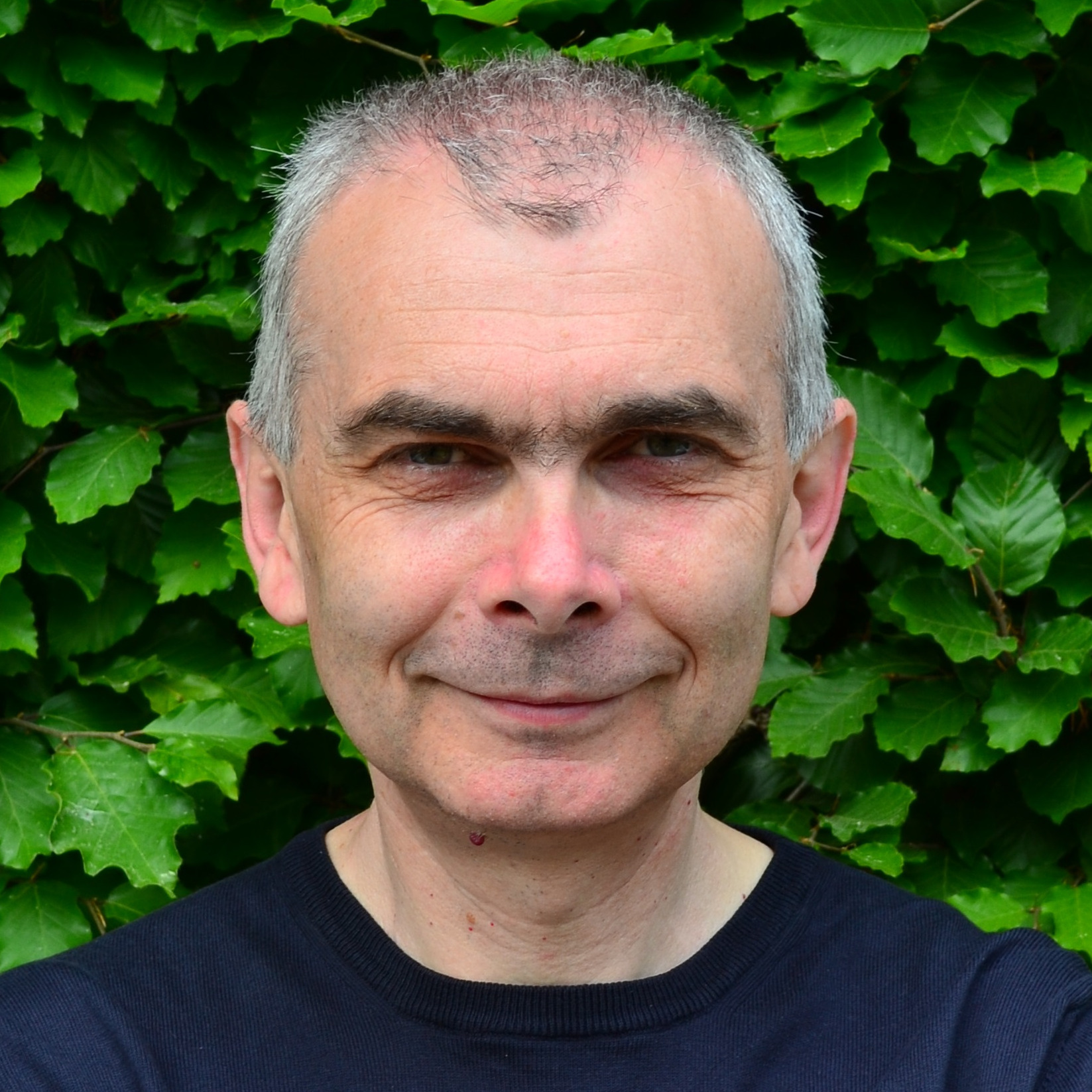 Prof. Liudmil Antonov