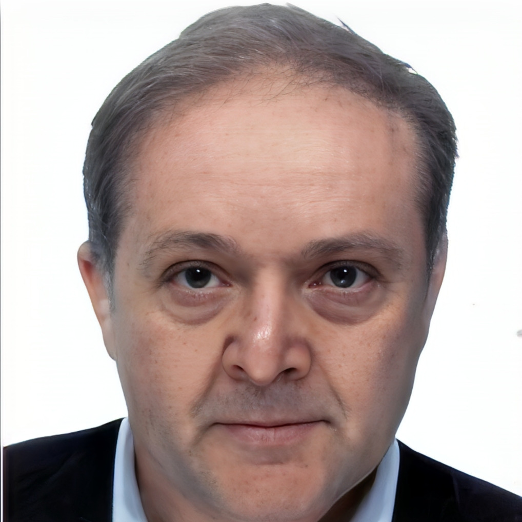 Prof. Dr. Vincenzo Guidi