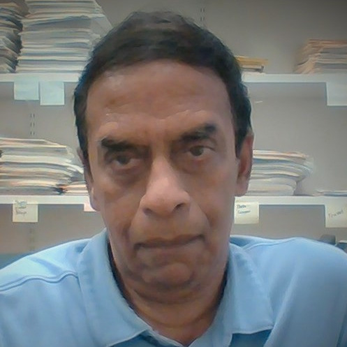 Prof. Dr. Gopalan Srinivasan