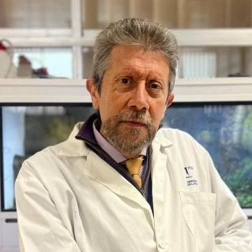 Prof. Dr. Ángel Enrique Salvo Tierra