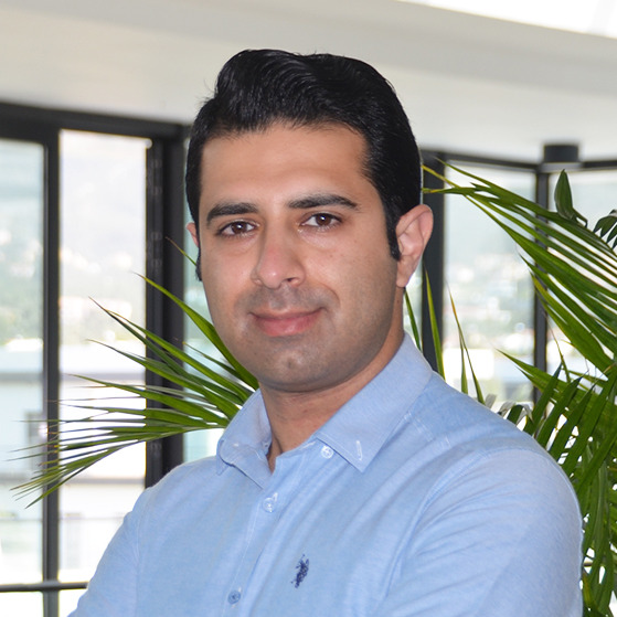 Assoc. Prof. Pooya Lotfabadi