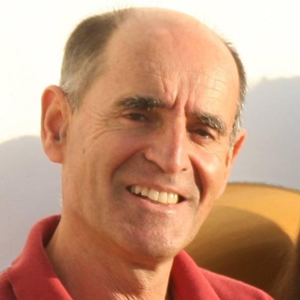 Prof. Dr. Jorge Vareda Gomes
