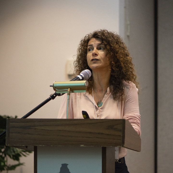 Prof. Dr. Maria De Lurdes Dinis