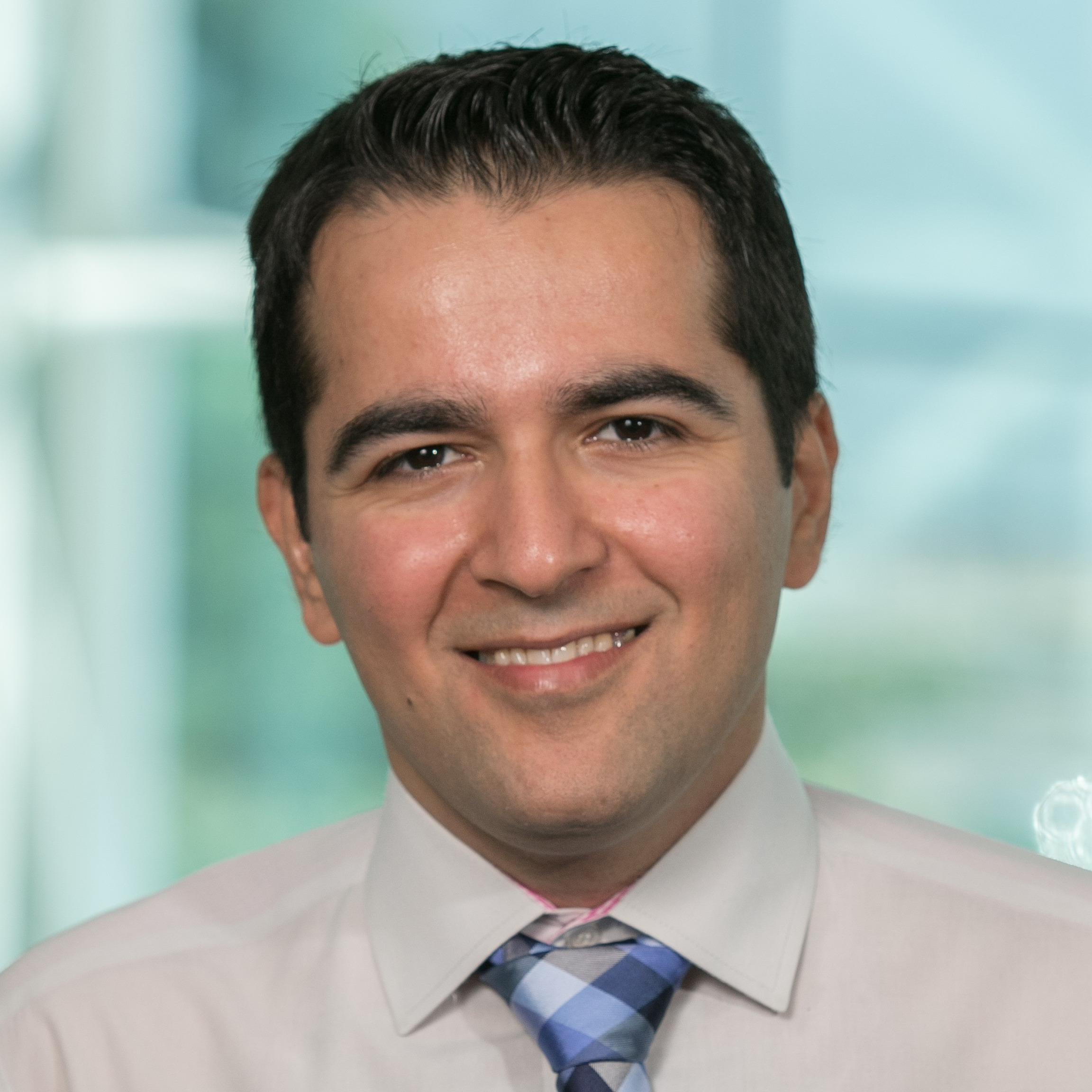 Prof. Dr. Amir H. Gandomi