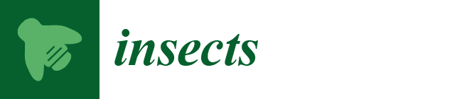 Insects