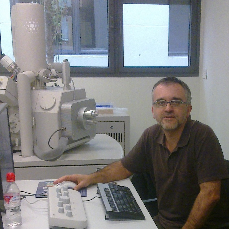 Prof. Dr. Josep Maria Trigo-Rodríguez