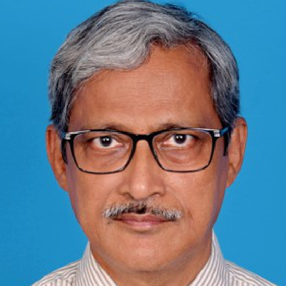 Prof. Dr. Saibal Ray